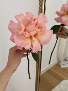 Букет роз Hermosa (15)